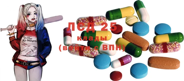эйфоретик Горняк