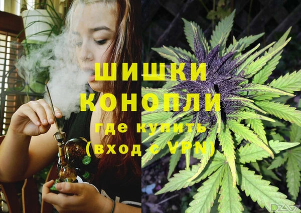 эйфоретик Горняк