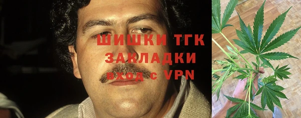 Альфа ПВП Гусев